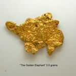"The Elephant" natural gold nugget