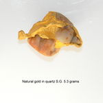 Gold Nugget Specimen