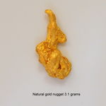 Natural gold nugget.
